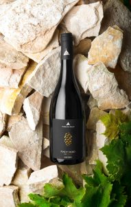 Servizio fotografico ambientato per il vino