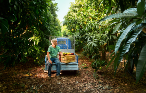 Food photography e filiera controllata